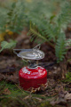 Primus Gas Kocher Essential Trail - Duo