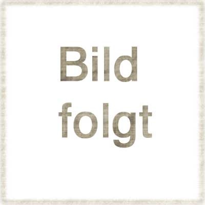 Leiterbeutel für Maggiolina Dachzelt Leiter 4x4