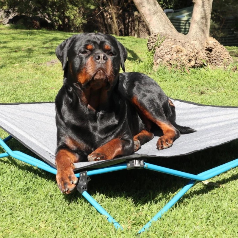 Navigator Dog-Bed Feldbett für Hunde large